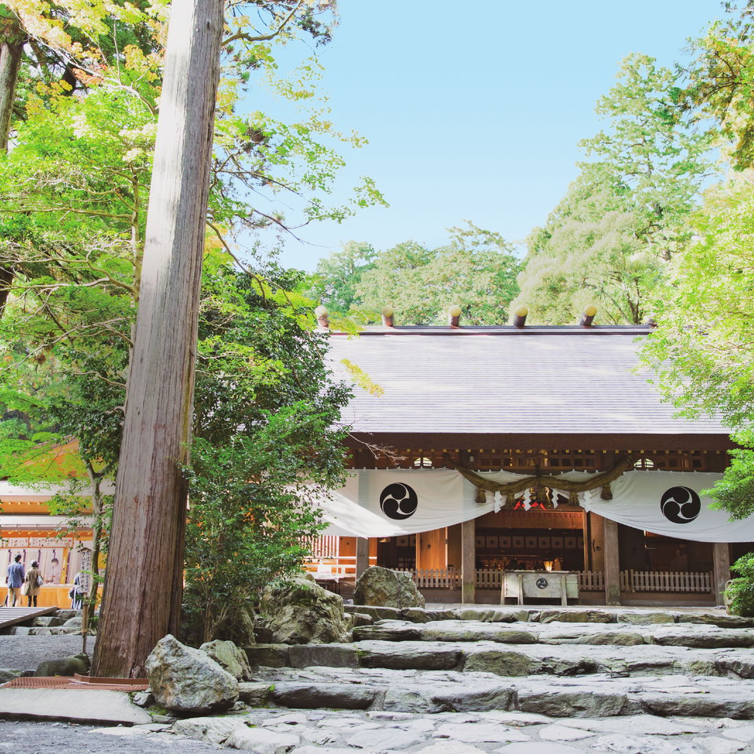 三重 鈴鹿 椿大神社 への初詣で 縁結びや夫婦円満のご利益を 日刊ケリー