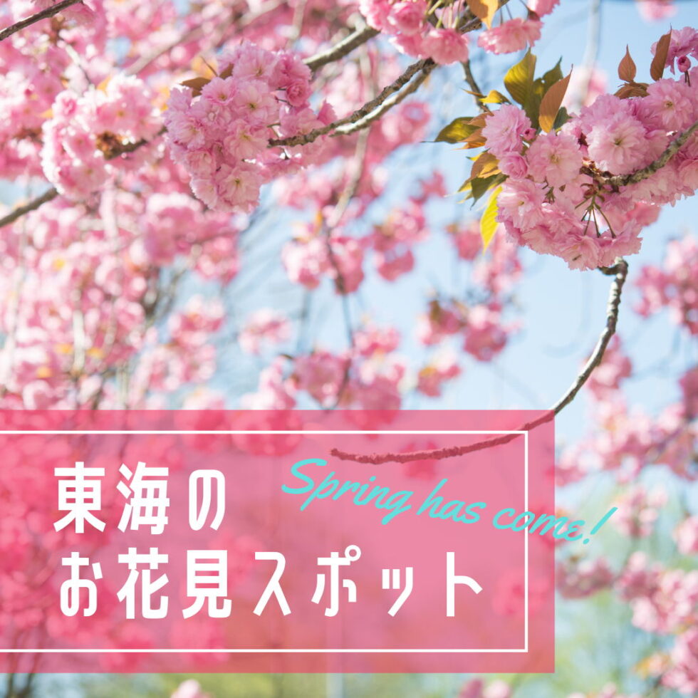 東海の桜の名所・お花見スポットまとめ！ライトアップやイベントも【愛知・岐阜・三重】