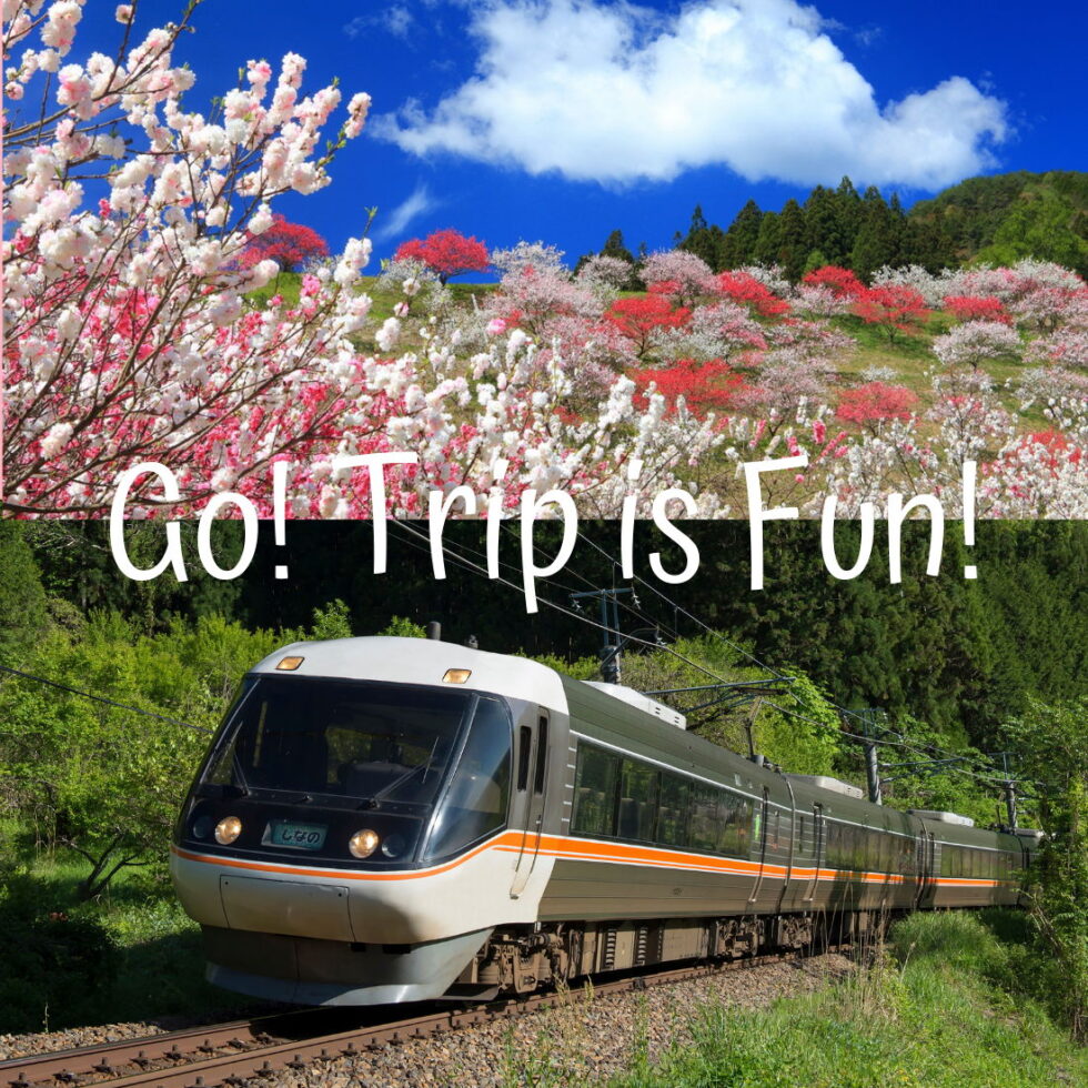 絶景もグルメも温泉も！JR東海でゆく、春の列車旅【PR】