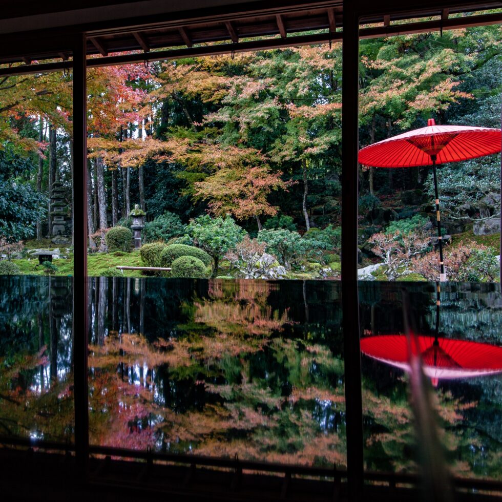 【滋賀・大津市】鮮やかな紅葉にうっとり。「旧竹林院」周辺を巡る、日帰りドライブデートコース