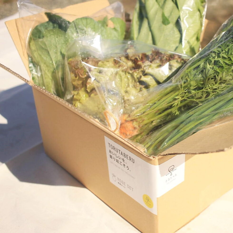 愛知・南知多「とるたべる農園」の通販で、冬の有機野菜セットをお取り寄せ！