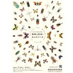 昆虫の世界が満喫できる展示会「地球は昆虫であふれている」開催【豊橋市自然...