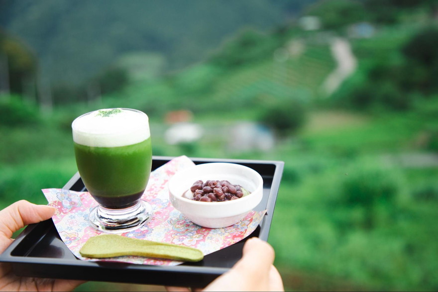 岐阜・揖斐川町「ハートkoyaカフェ」で美しい茶畑を眺めながら、こだわりスイーツに舌鼓