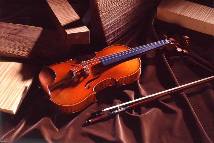 1泊2日でクラシック・バイオリンを贅沢に味わえるバスツアーが開催！