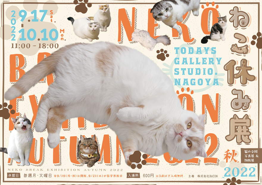 SNSで人気の猫クリエイターが集う！「ねこ休み展」が名古屋で開催