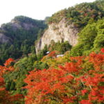愛知・新城市のおすすめ観光モデルコース！秋深まる美しい紅葉や温泉を楽しむ...