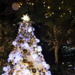 「大名古屋ビルヂング」5Fスカイガーデンで、「クリスマスイルミネーション20...