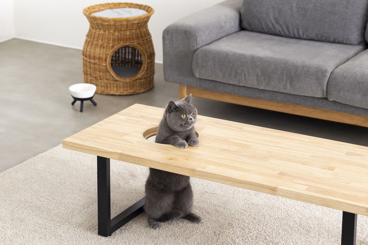 にゃんとも可愛い♡ 猫との暮らしを彩るインテリアを提案！〈KANADEMONO〉のネコ穴付きテーブル
