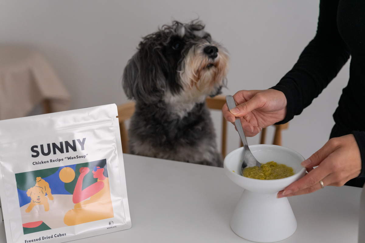 わんこ専用の“食べるスープ”に注目！「WanSoup（ワンスープ）」で愛犬の食生活をもっと豊かに