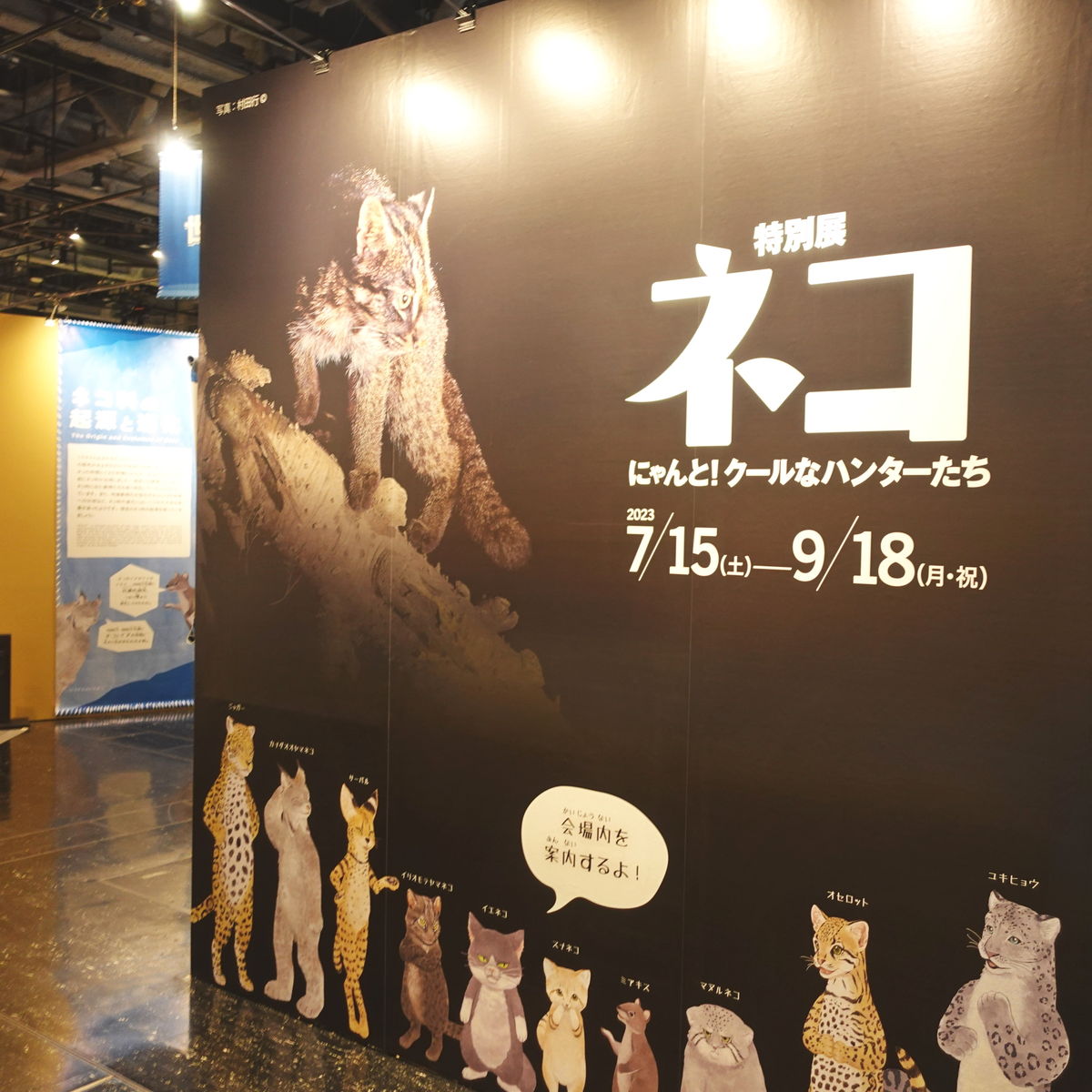 【名古屋市科学館で開催中】松尾ミユキさんのオリジナルグッズにも注目！『特別展「ネコ」～にゃんと！クールなハンターたち～』