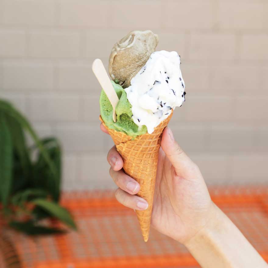 まとめ売り【ソボスライ ジェラード ソボスライ】 季節のジェラート 12個セット[CCC0003] | おおむら夢ファーム シュシュ