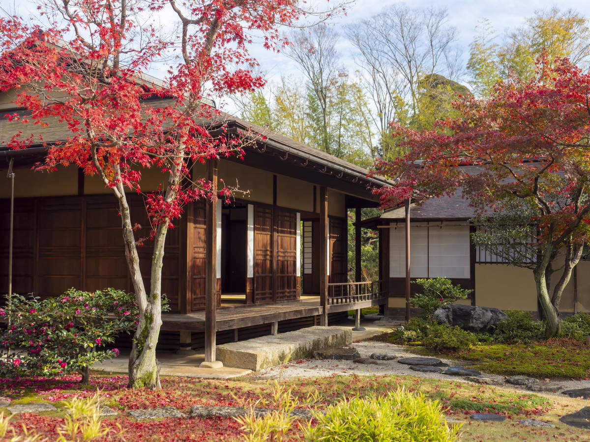 吉沢亮 Tシャツ 吉沢 亮 写真集特典Tシャツ15周年Profile - メルカリ