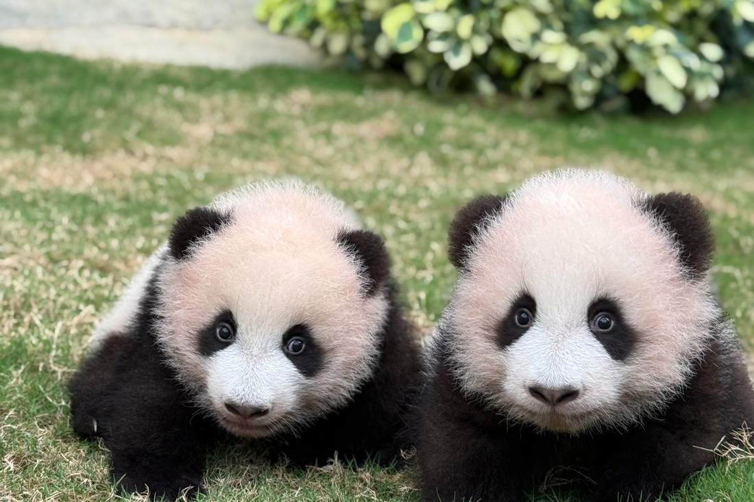 抽選で当たる】吉沢亮＆横浜流星が出演！ 映画『国宝』が6/6（金