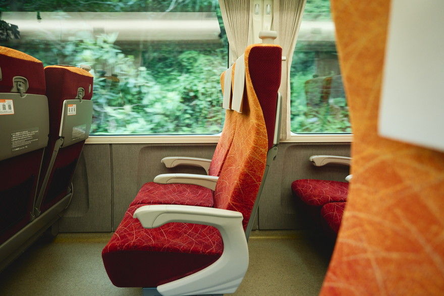 JR特急「南紀」号で癒しの列車旅へ。和歌山・熊野古道をめぐる観光