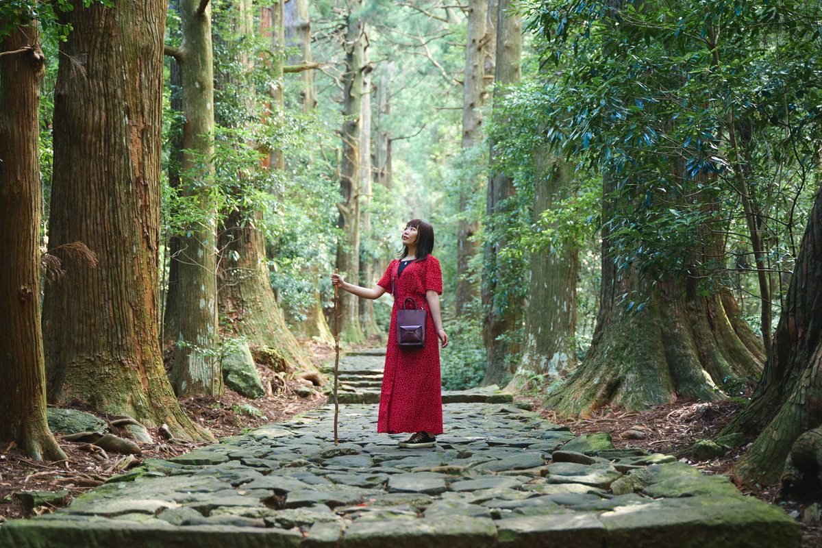 南紀・熊野古道 JR特急「南紀」号で癒しの列車旅へ。和歌山・熊野古道をめぐる