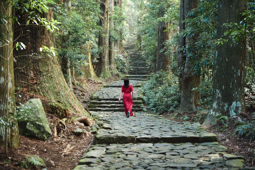 JR特急「南紀」号で癒しの列車旅へ。和歌山・熊野古道をめぐる観光