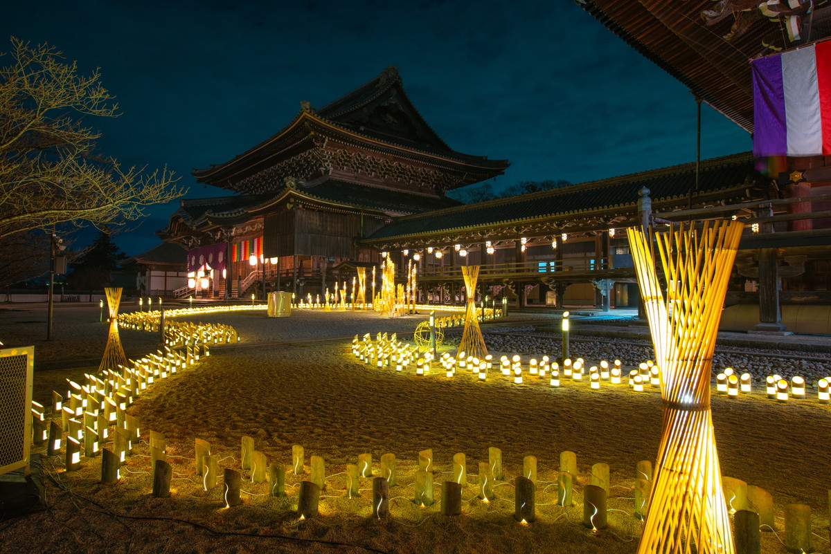 三重・津市】幻想的な 「専修寺お七夜竹あかり」開催！東海最大級の